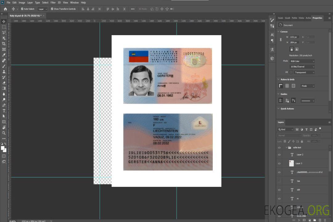 Carte d'identité du Liechtenstein template Carte d'identité du Liechtenstein template
